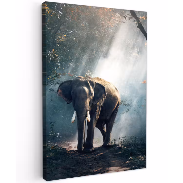 Olifant in mystiek bos Tuinposter op houten frame 2 cm dik klein -3d