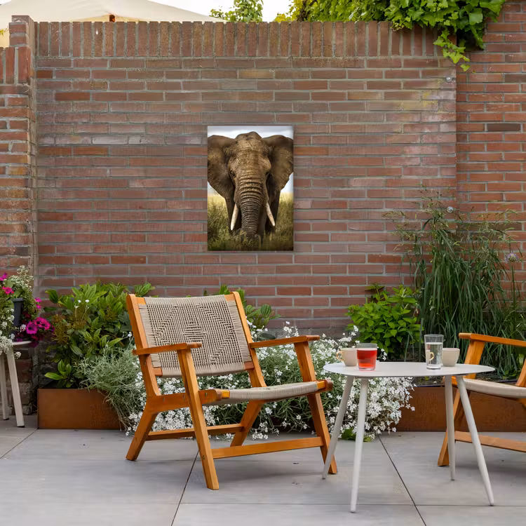 Olifant in de savanne Tuinposter op houten frame 2 cm dik klein -sfeer3