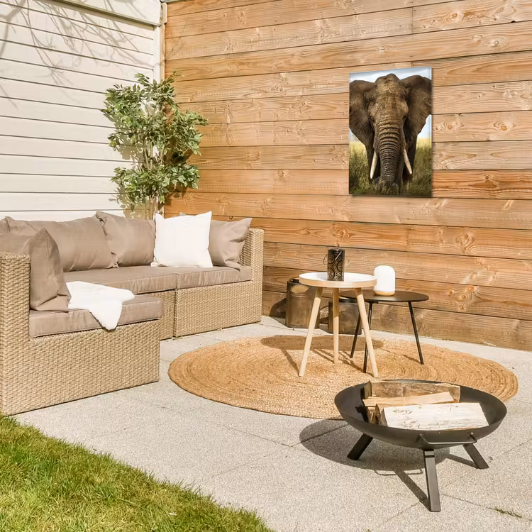 Olifant in de savanne Tuinposter op houten frame 2 cm dik klein -sfeer2