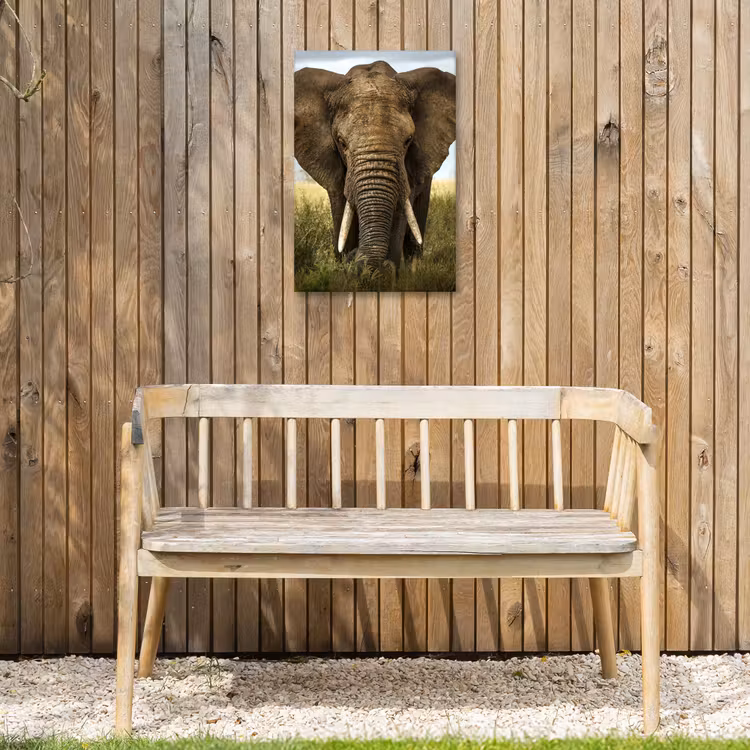 Olifant - Natuur - Gras - Dieren - Landschap Tuinposter op houten frame 2 cm dik klein -sfeer4
