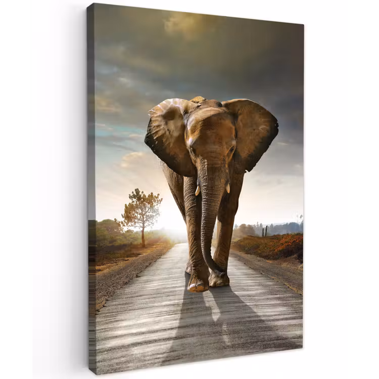 Olifant op een verlaten weg Tuinposter op houten frame 2 cm dik klein -3d