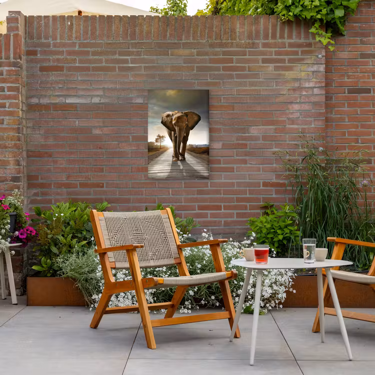 Olifant op een verlaten weg Tuinposter op houten frame 2 cm dik klein -sfeer3