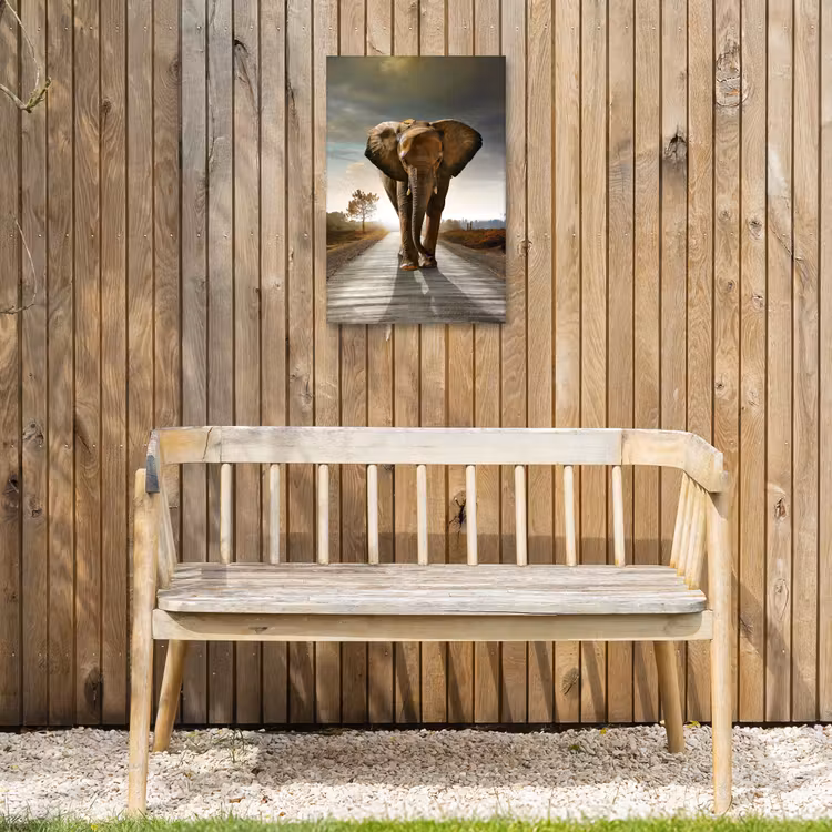 Olifant op een verlaten weg Tuinposter op houten frame 2 cm dik klein -sfeer4