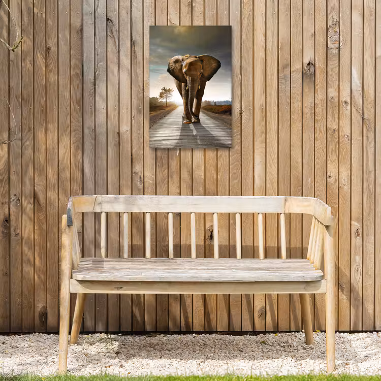 Olifant - Weg - Dieren - Zonsondergang - Landschap Tuinposter op houten frame 2 cm dik klein -sfeer4