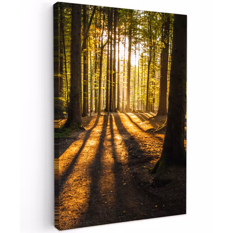 Avondlicht in het bos Tuinposter op houten frame 2 cm dik klein -3d