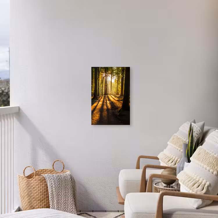 Avondlicht in het bos Tuinposter op houten frame 2 cm dik klein -sfeer1
