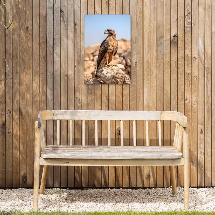 Valk - Vogel - Rots - Macht Tuinposter op houten frame 2 cm dik klein -sfeer4