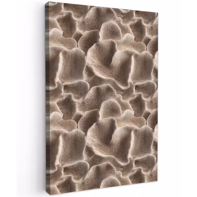 Waaiervorm - Beige - Vezel textuur Tuinposter op houten frame 2 cm dik klein 841 -3d