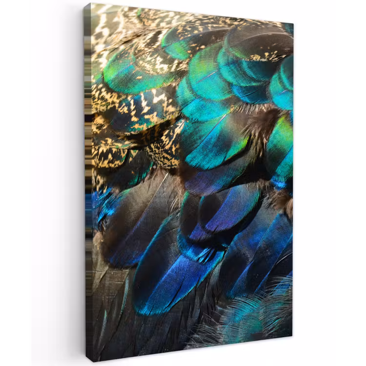 Veren - Pauwveren - Pauw - Blauw - Kunst Tuinposter op houten frame 2 cm dik klein -3d