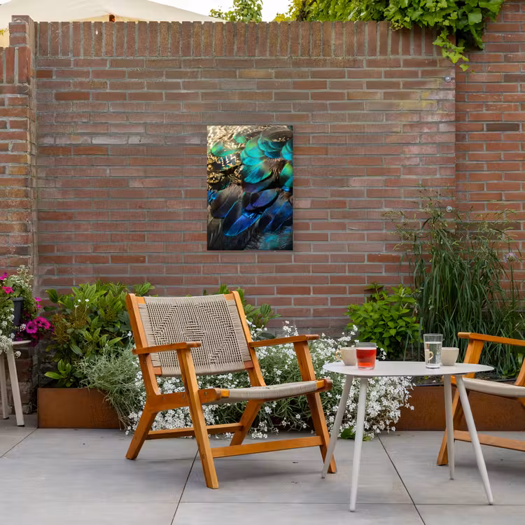 Veren - Pauwveren - Pauw - Blauw - Kunst Tuinposter op houten frame 2 cm dik klein -sfeer3