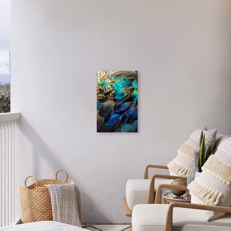 Veren - Pauwveren - Pauw - Blauw - Kunst Tuinposter op houten frame 2 cm dik klein -sfeer1