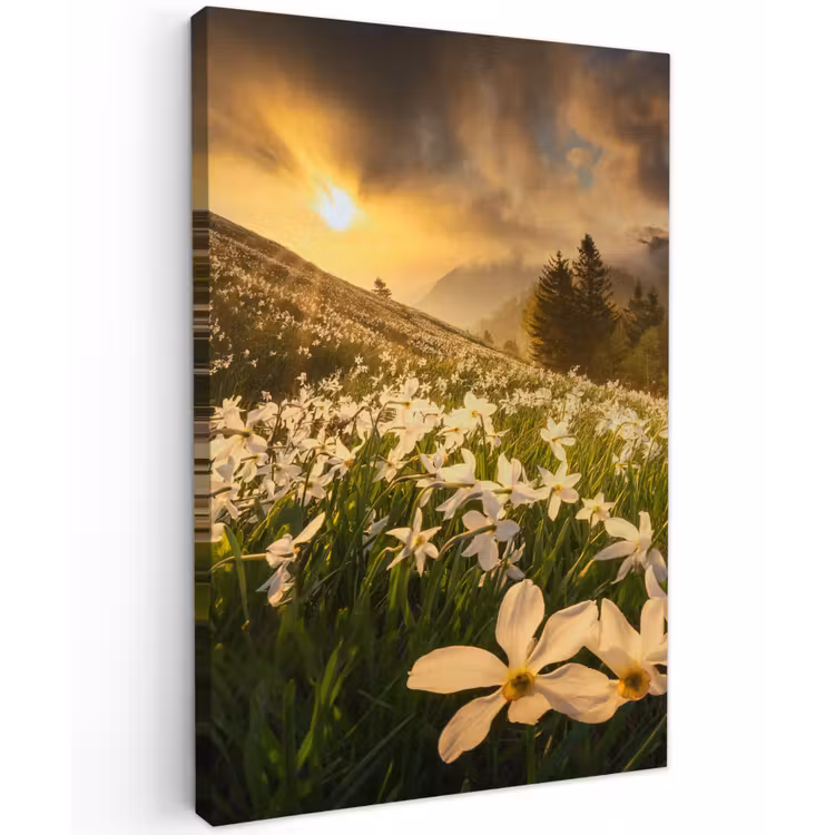 Bloemenveld - Heuvels - Zonsondergang - Berg - Natuur - Wit - Heuvels Tuinposter op houten frame 2 cm dik klein -3d
