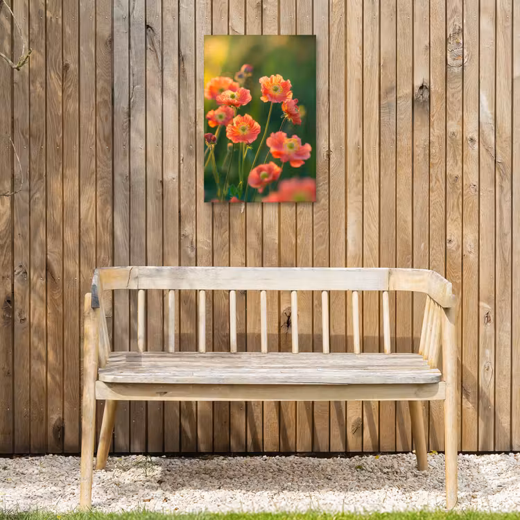 Bloemenveld - Zonnestralen - Oranje Tuinposter op houten frame 2 cm dik klein -sfeer4