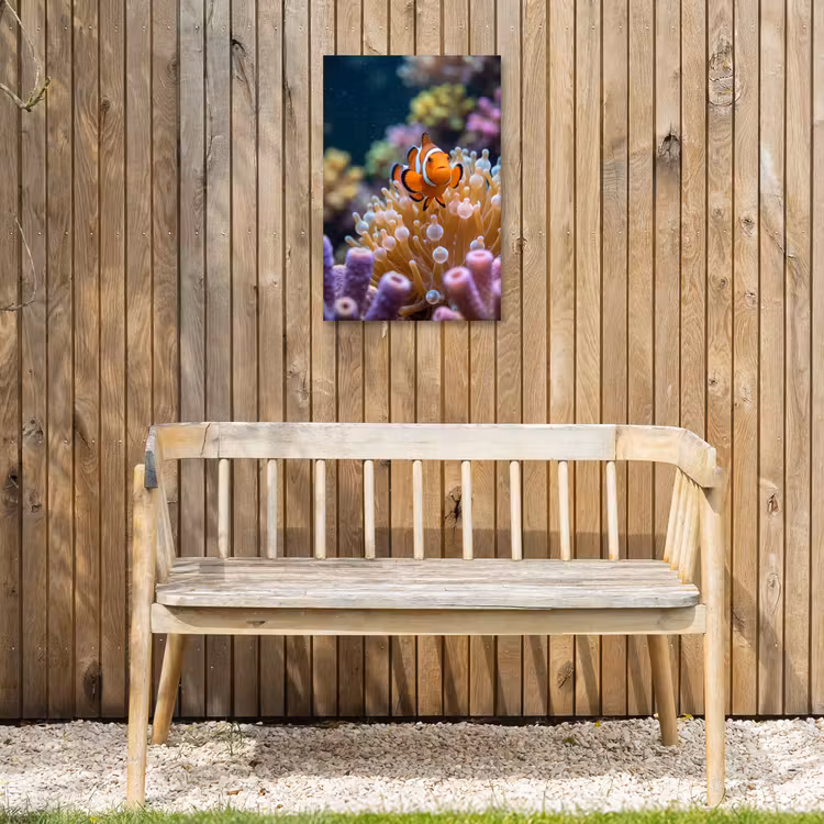 Vis - Koraal - Onderwater - Oranje - Dieren Tuinposter op houten frame 2 cm dik klein -sfeer4