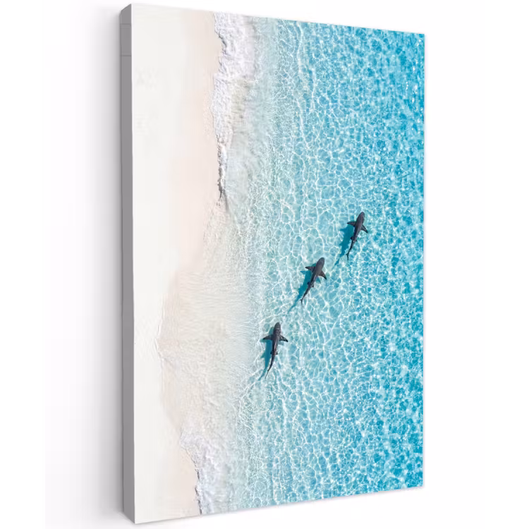 Vis - Oceaan - Strand - Turquoise - Natuur Tuinposter op houten frame 2 cm dik klein -3d