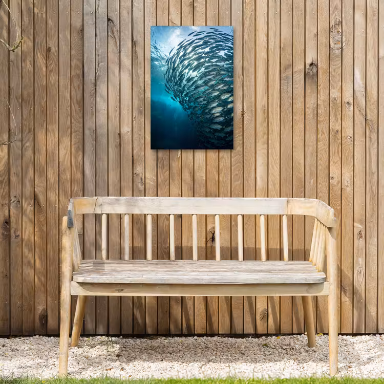 Vis - School - Oceaan - Natuur - Blauw Tuinposter op houten frame 2 cm dik klein -sfeer4