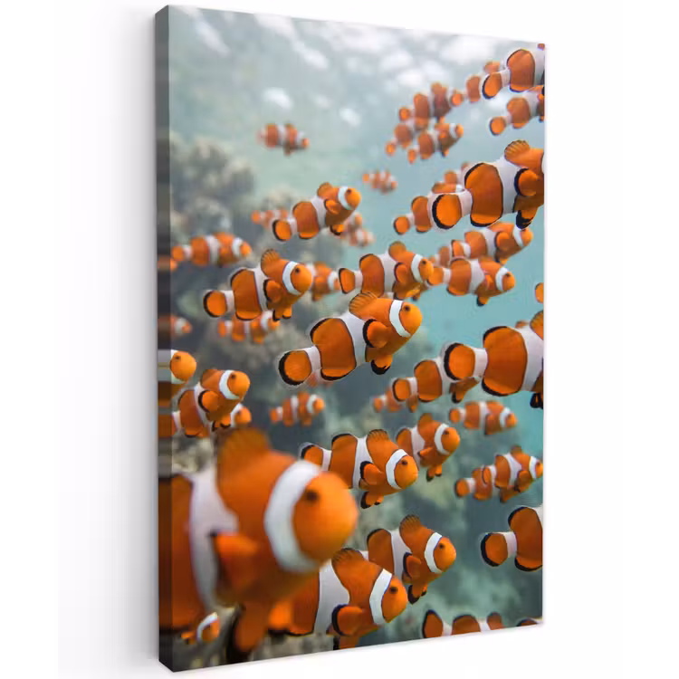 Vis - School - Onderwater - Dieren - Oranje Tuinposter op houten frame 2 cm dik klein -3d
