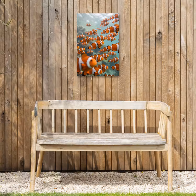 Vis - School - Onderwater - Dieren - Oranje Tuinposter op houten frame 2 cm dik klein -sfeer4