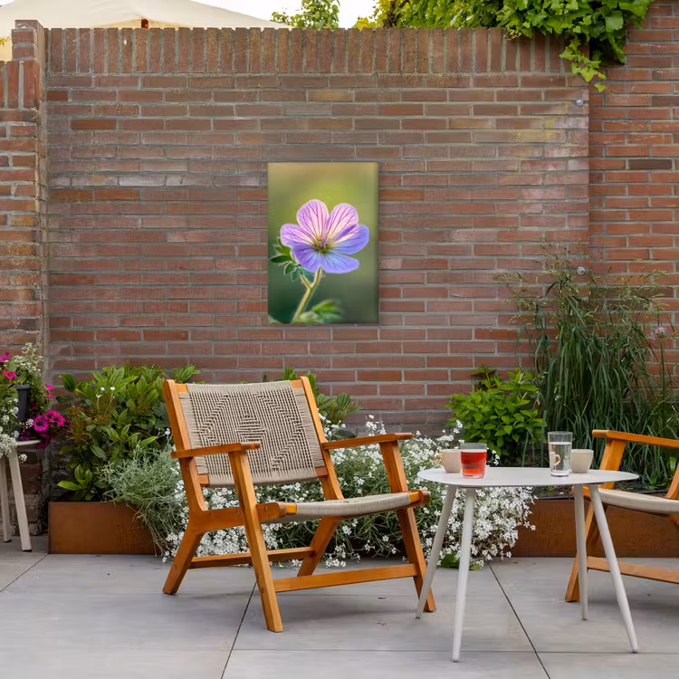 Bloem - Close up - Paars Tuinposter op houten frame 2 cm dik klein -sfeer3