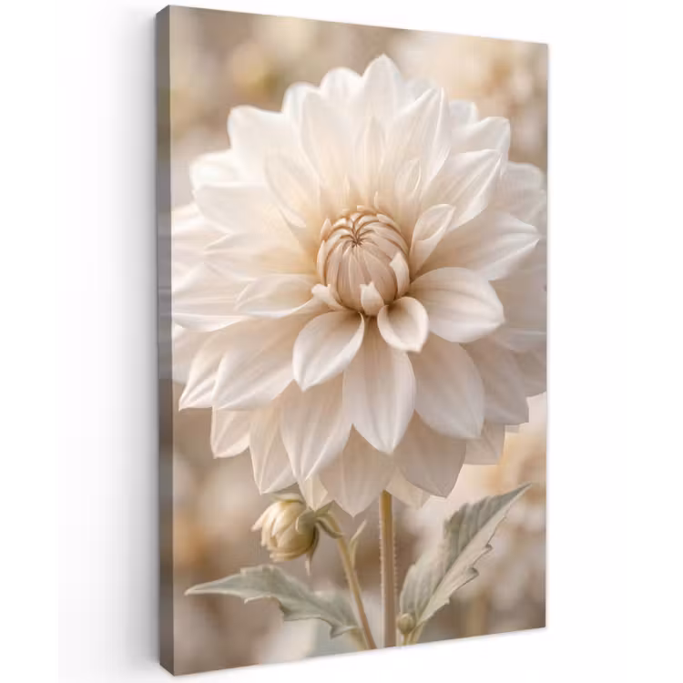 Bloem - Dahlia - Wit Tuinposter op houten frame 2 cm dik klein -3d