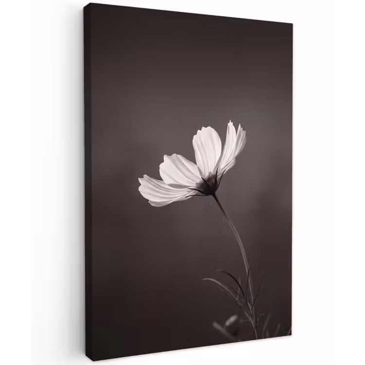 Bloem - Minimalistisch - Zwart - Wit Tuinposter op houten frame 2 cm dik klein -3d
