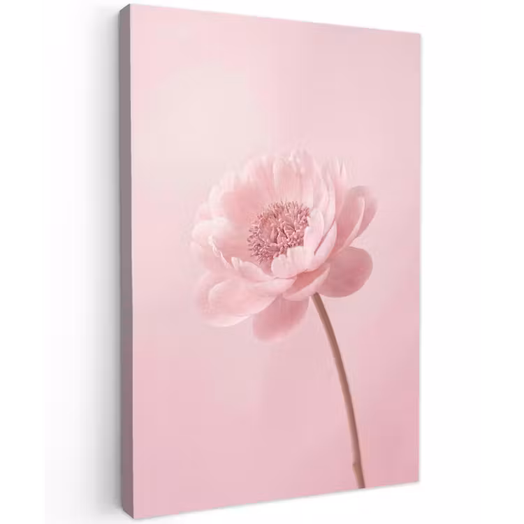 Bloem - Pioenroos - Roze Tuinposter op houten frame 2 cm dik klein -3d