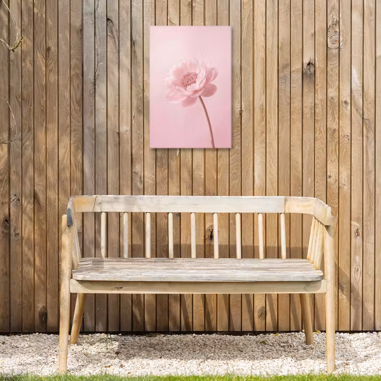 Bloem - Pioenroos - Roze Tuinposter op houten frame 2 cm dik klein -sfeer4