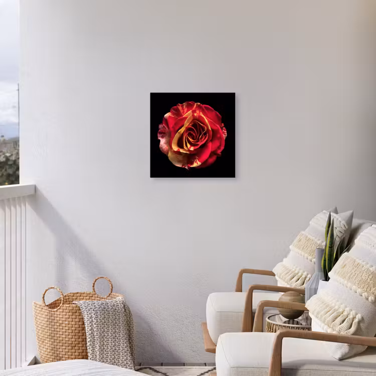 Bloem - Roos - Rood - Zwart Tuinposter op houten frame 2 cm dik klein -sfeer1