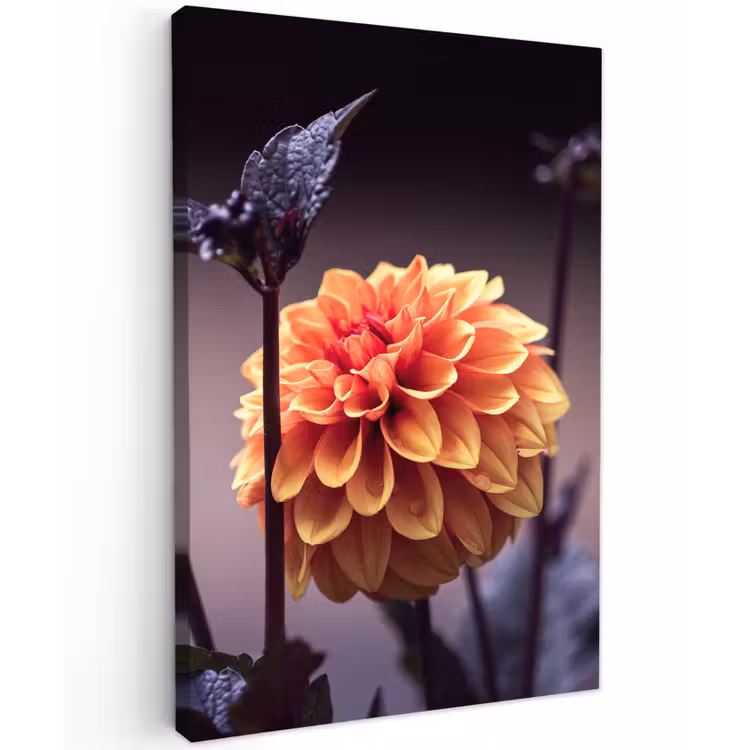 Bloemen - Chrysant - Macro - Planten Tuinposter op houten frame 2 cm dik klein -3d