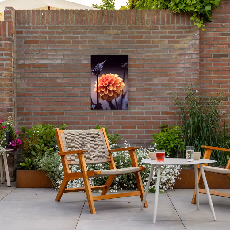 Bloemen - Chrysant - Macro - Planten Tuinposter op houten frame 2 cm dik klein -sfeer3