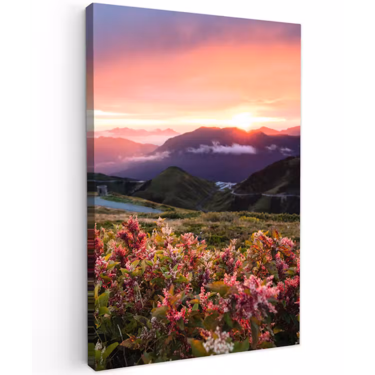 Bloemen - Bergen - Landschap - Nacht - Lucht - Roze Tuinposter op houten frame 2 cm dik klein -3d