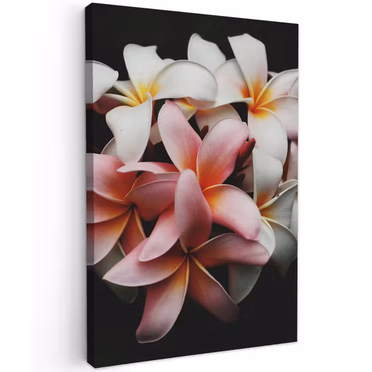 Bloemen - Roze - Zwart - Flora - Botanisch Tuinposter op houten frame 2 cm dik klein -3d