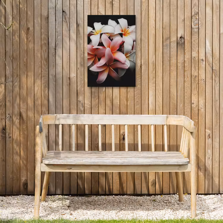 Bloemen - Roze - Zwart - Flora - Botanisch Tuinposter op houten frame 2 cm dik klein -sfeer4