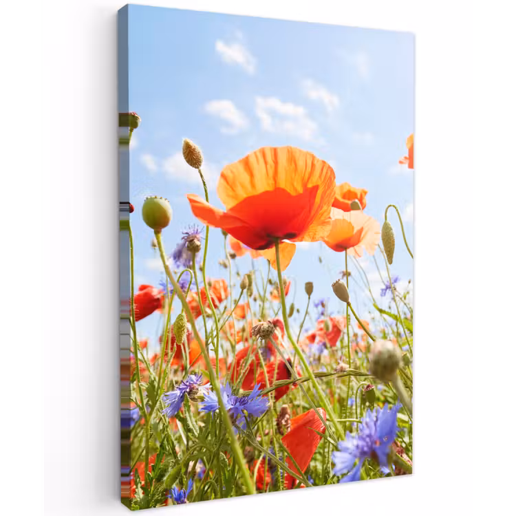 Bloemen - Klaproos - Lente - Natuur - Rood - Blauw Tuinposter op houten frame 2 cm dik klein -3d
