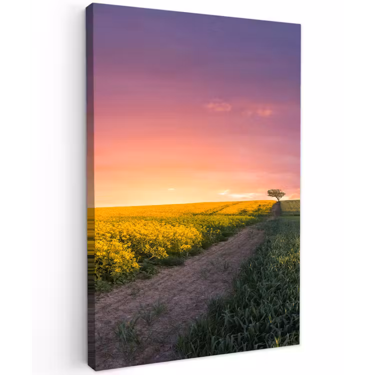 Bloemen - Weg - Lucht - Geel - Paars - Zonsondergang - Natuur Tuinposter op houten frame 2 cm dik klein -3d