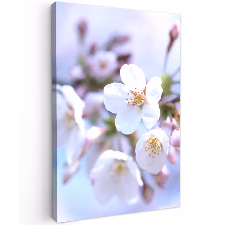 Bloemen - Sakura - Tak - Bloesem takken Tuinposter op houten frame 2 cm dik klein -3d