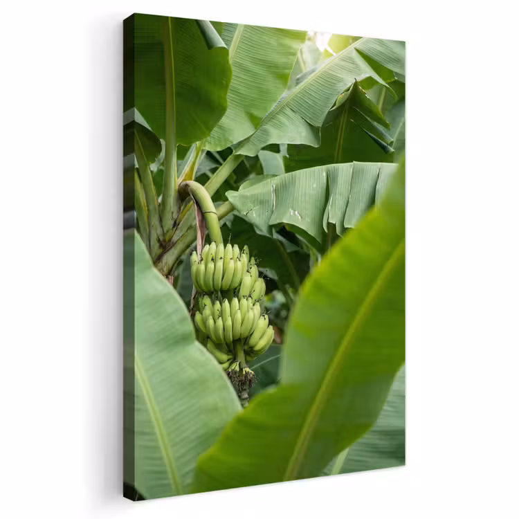 Eten - Bananen - Plantage - Groen Tuinposter op houten frame 2 cm dik klein -3d