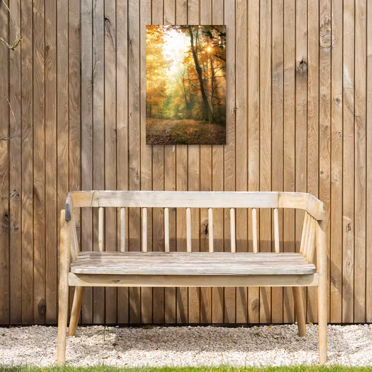 Bos - Herfst - Zon - Landschap - Natuur - Bomen - Bladeren Tuinposter op houten frame 2 cm dik klein -sfeer4