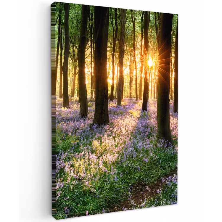 Bos - Bloemen - Lavendel - Zon - Paars - Natuur Tuinposter op houten frame 2 cm dik klein -3d