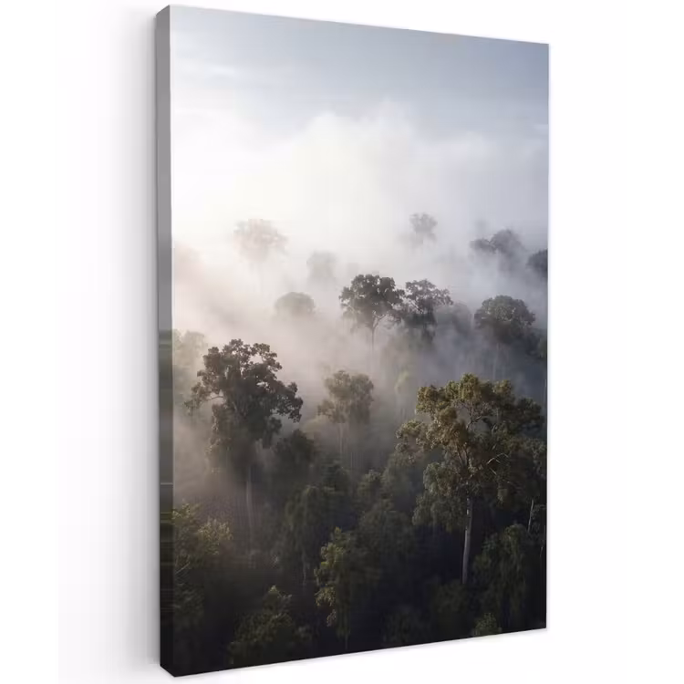 Bos - Mist - Natuur - Groen Tuinposter op houten frame 2 cm dik klein -3d