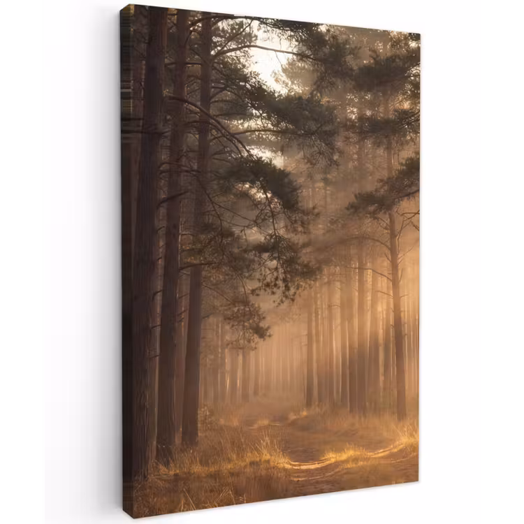 Bos - Mist - Zonlicht Tuinposter op houten frame 2 cm dik klein -3d