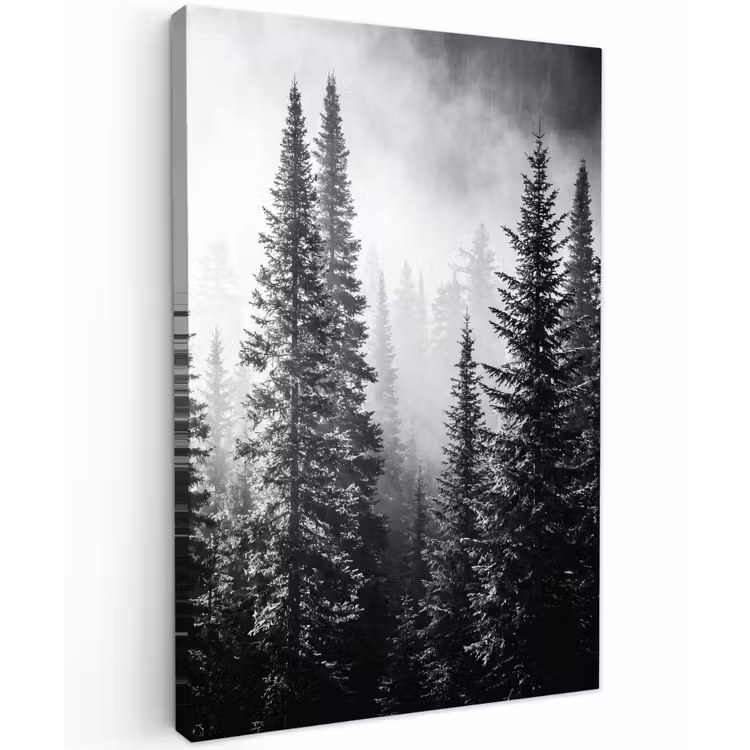 Bos - Mist - Winter - Monochroom - Natuur Tuinposter op houten frame 2 cm dik klein -3d