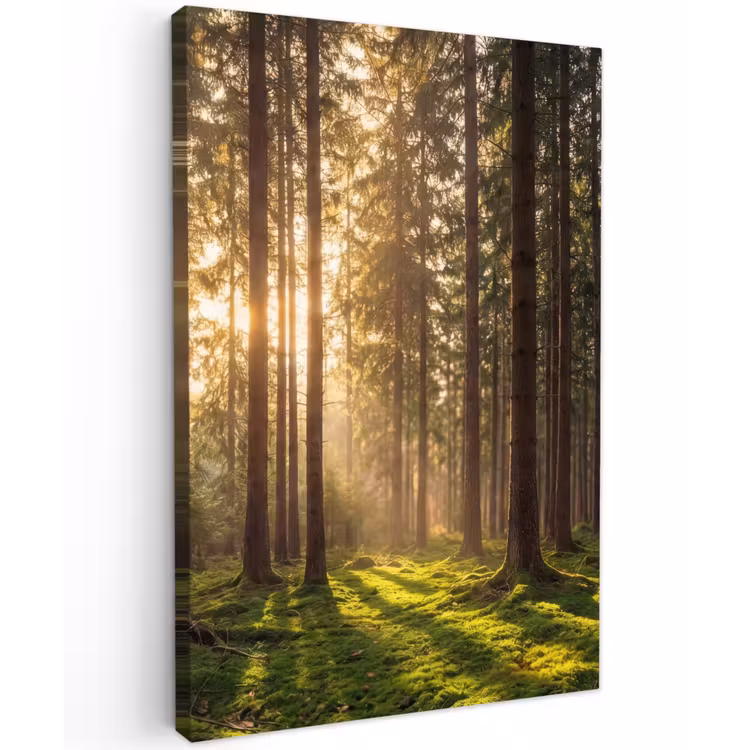 Bos - Gras - Zonlicht Tuinposter op houten frame 2 cm dik klein -3d