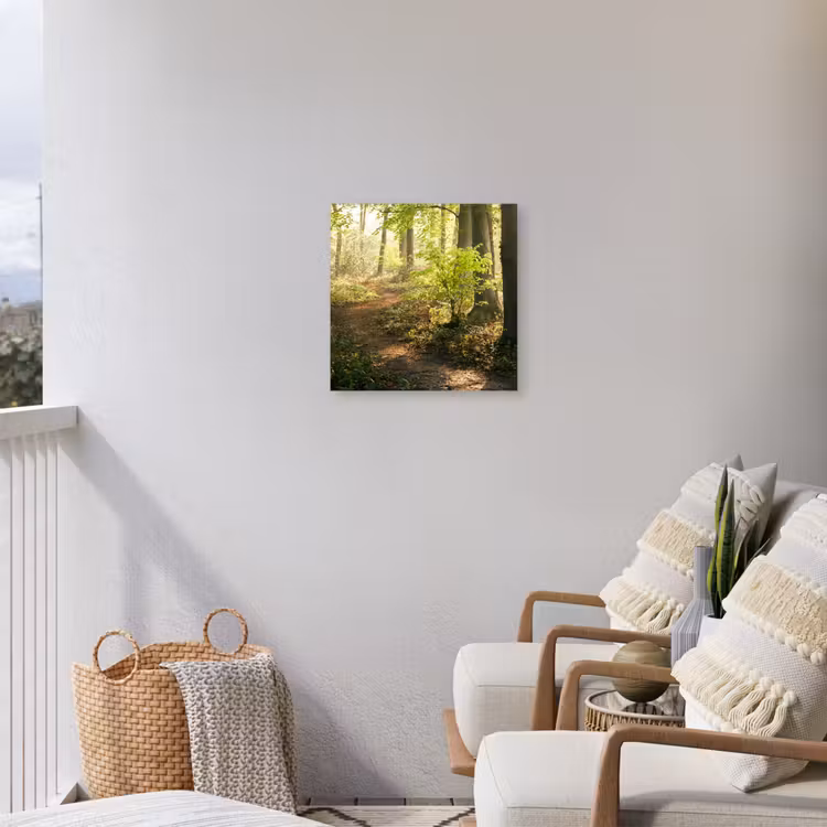 Bospad bij zonsopgang Tuinposter op houten frame 2 cm dik klein -sfeer1