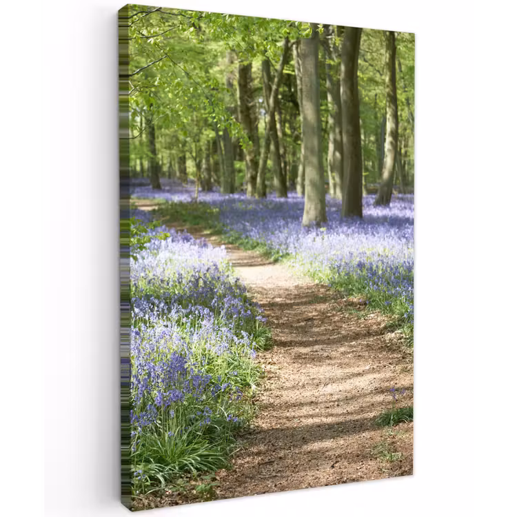 Bos - Pad - Bloemen - Paars - Groen - Natuur Tuinposter op houten frame 2 cm dik klein -3d