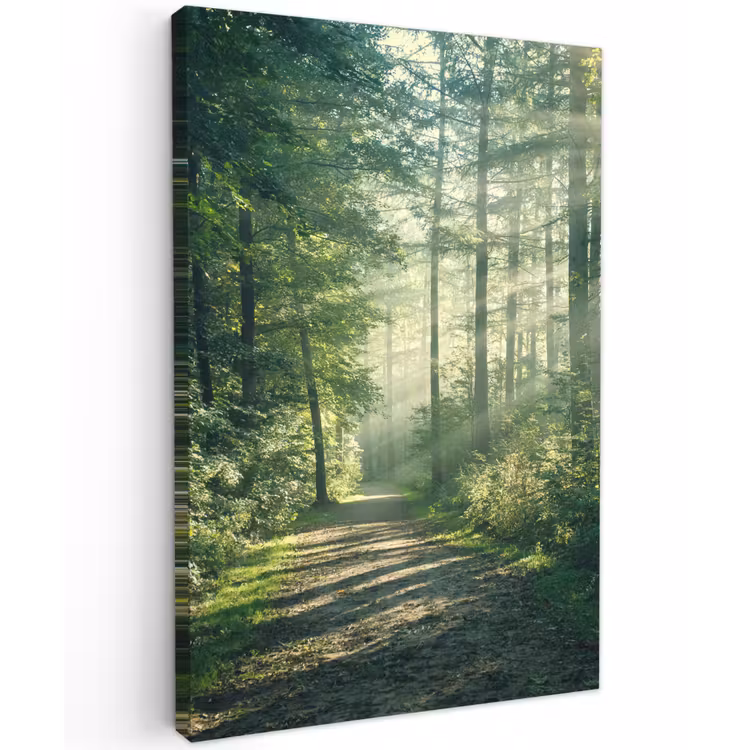 Bos - Pad - Zon - Bomen - Groen - Natuur Tuinposter op houten frame 2 cm dik klein -3d
