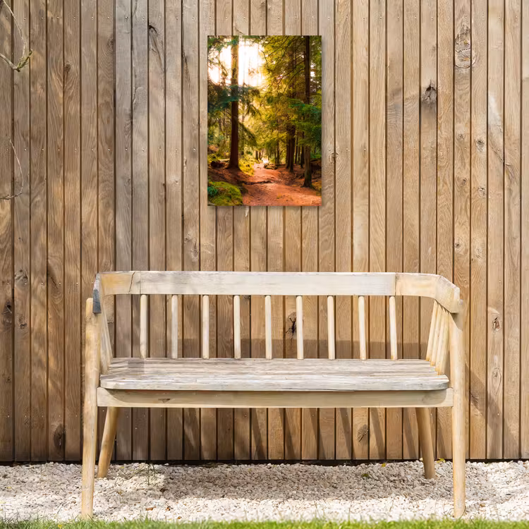 Bos - Pad - Bomen - Groen - Zon - Natuur Tuinposter op houten frame 2 cm dik klein -sfeer4