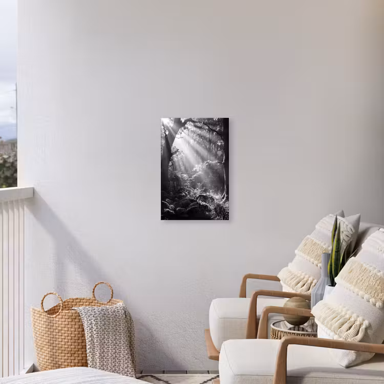 Bos - Lichtstralen - Natuur - Zwart-wit Tuinposter op houten frame 2 cm dik klein -sfeer1