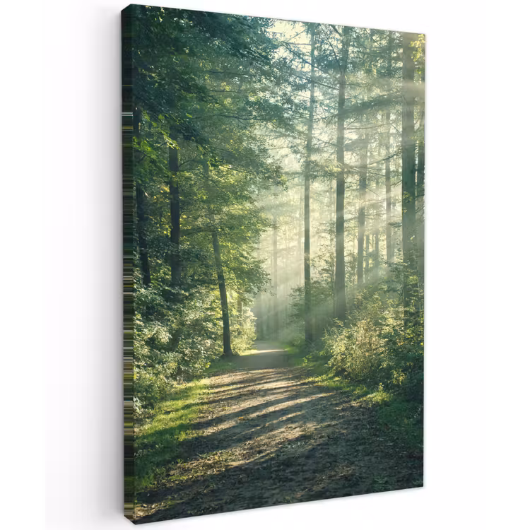Bosweg in ochtendlicht Tuinposter op houten frame 2 cm dik klein -3d
