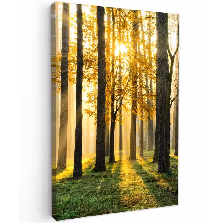 Bos - Zon - Bomen - Gras - Landschap  - Natuur Tuinposter op houten frame 2 cm dik klein -3d